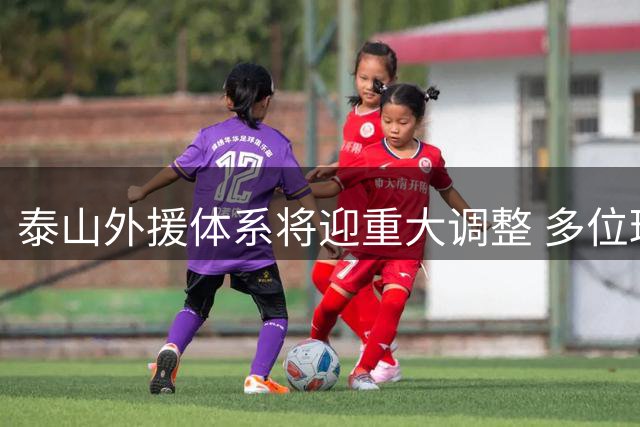 泰山外援体系将迎重大调整 多位球员或面临清洗