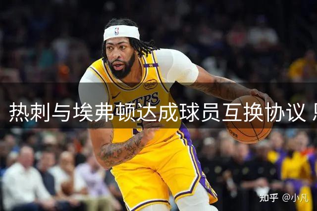 热刺与埃弗顿达成球员互换协议 恩迪亚耶转投伦敦