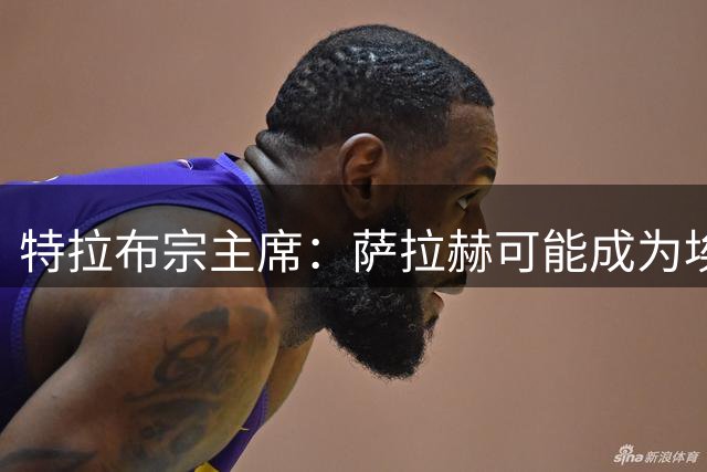 特拉布宗主席：萨拉赫可能成为埃及和土耳其两国的桥梁