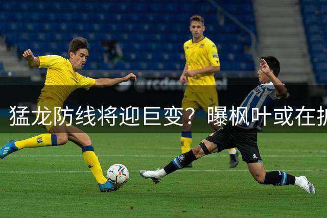 猛龙防线将迎巨变？曝枫叶或在扩军选秀中放弃摩根·里利